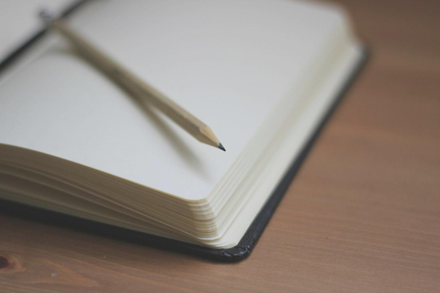 Teilnehmer bei einer interaktiven Workshop-Session